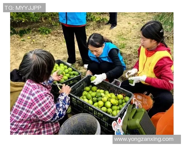 果园采摘乐趣体验，感受丰收季节的自然魅力与美好时光